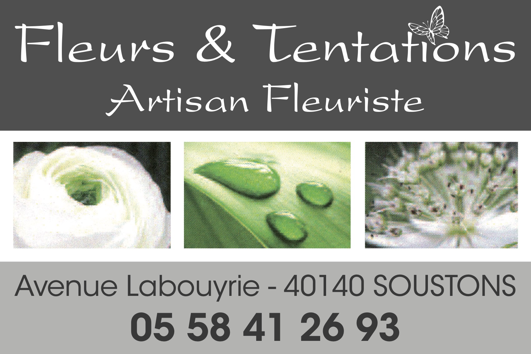 Fleurs_&_Tentations
